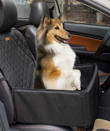 How to Travel with Pets: The Best Car Accessories for Pet Owners 🐶🚗🐾